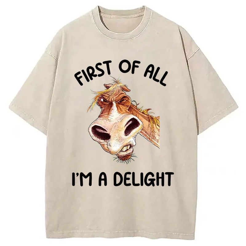 Tokyocanvas First of All I'm a Delight Horse Washed T-Shirt