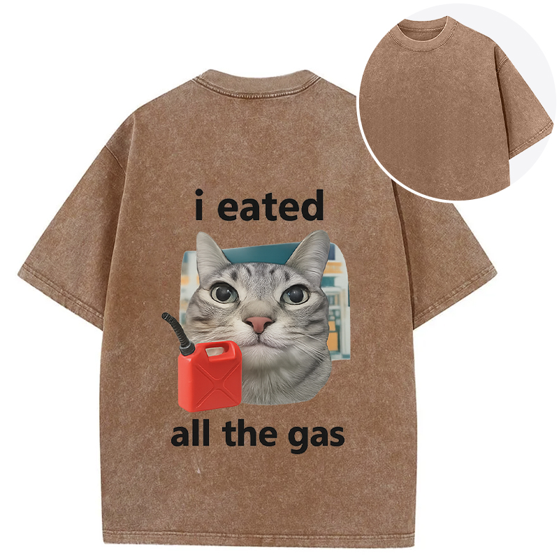 Tokyocanvas I Eated All The Gas Cat Funny Back Washed T-Shirt