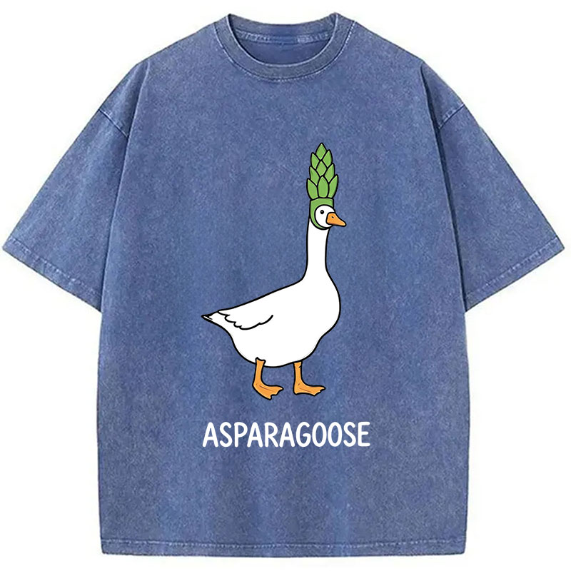 Tokyocanvas Asparagoose Washed T-Shirt