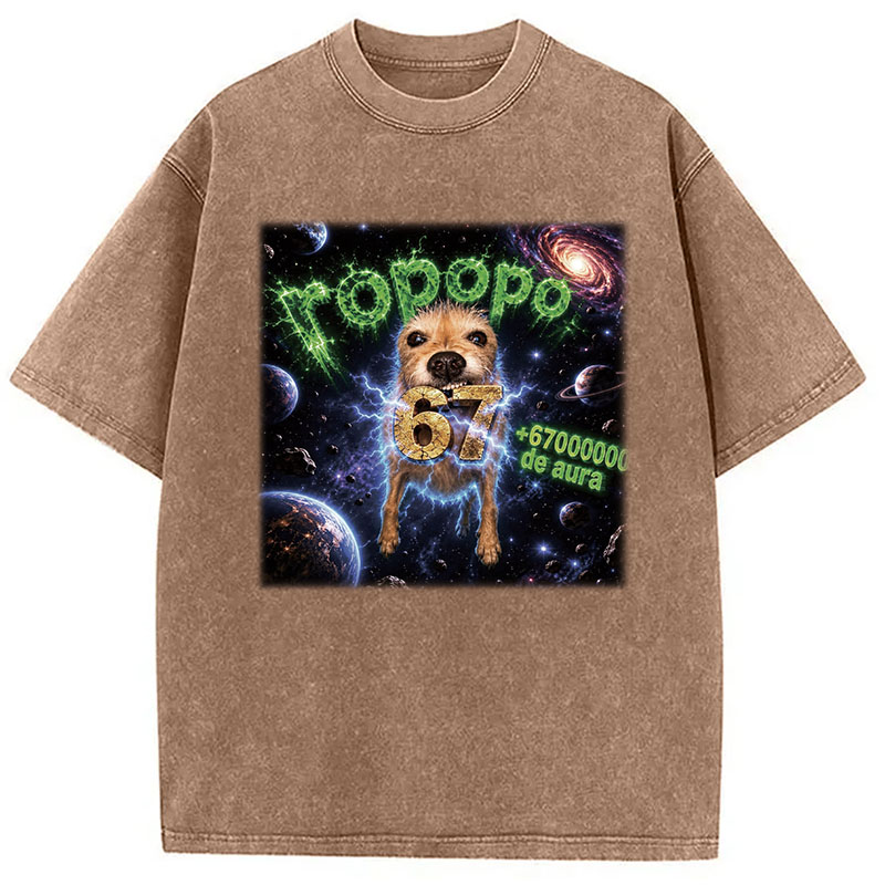 Tokyocanvas Ropopo Aura Dog Washed T-Shirt