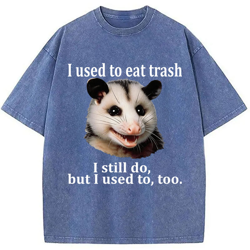Tokyocanvas Possum Washed T-Shirt