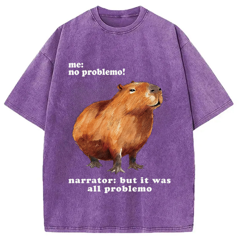 Tokyocanvas All Problemo, No Panic Washed T-Shirt