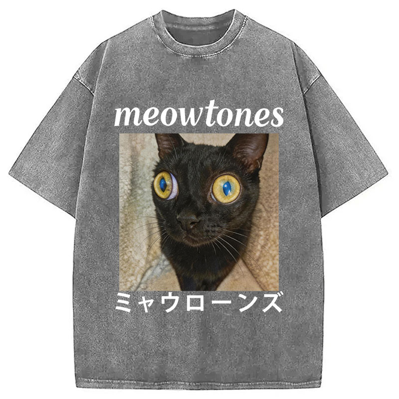 Tokyocanvas Meowlones Washed T-Shirt