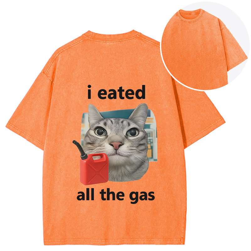 Tokyocanvas I Eated All The Gas Cat Funny Back Washed T-Shirt