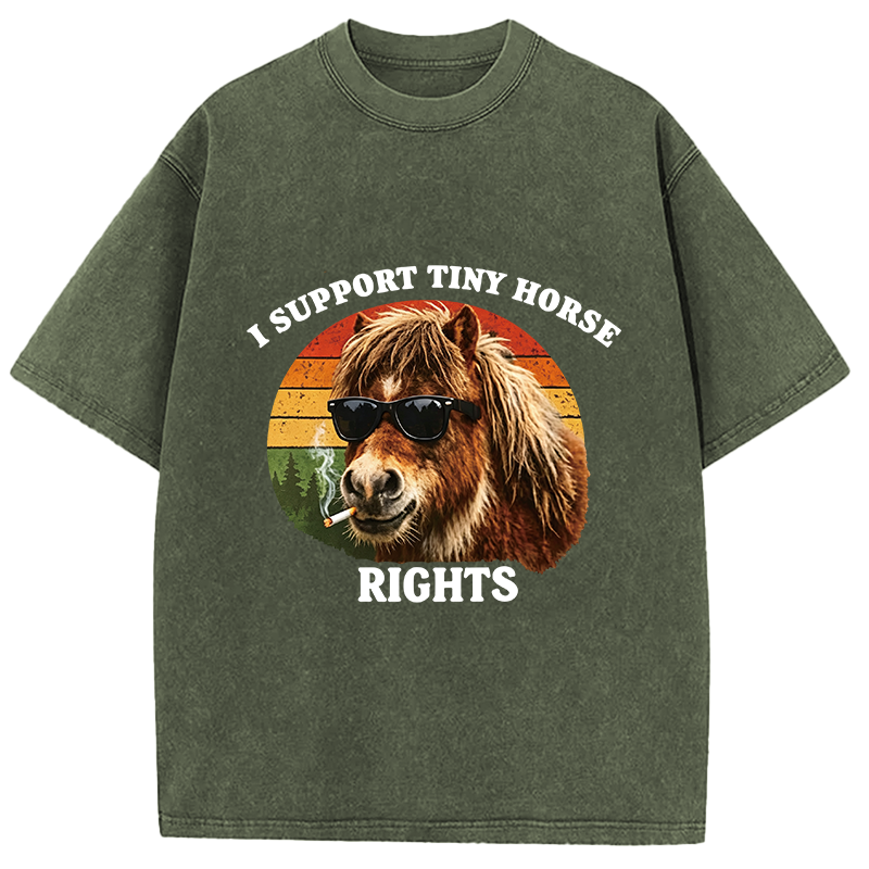 Tokyocanvas Frog Wizard Riding A Horse Washed T-Shirt