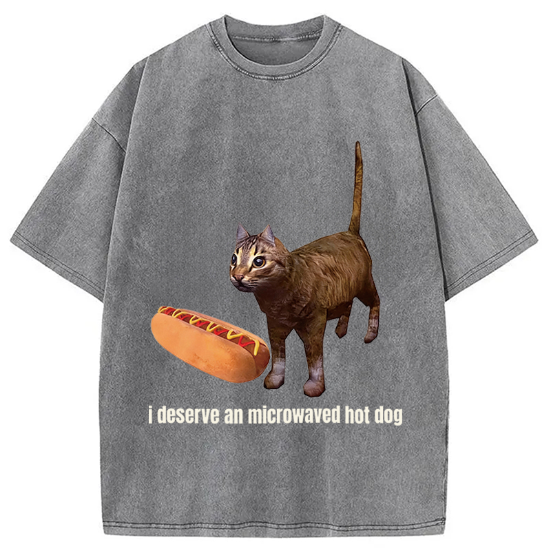 Tokyocanvas Cat Hotdog Meme Washed T-Shirt