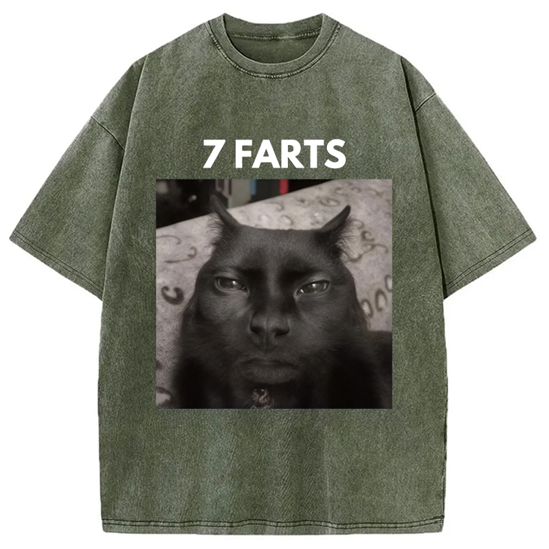 Tokyocanvas 7 Farts Silly Meme Cat Washed T-Shirt