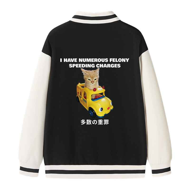 Tokyocanvas I Have Numerous Felonies For Speeding Varsity Jacket