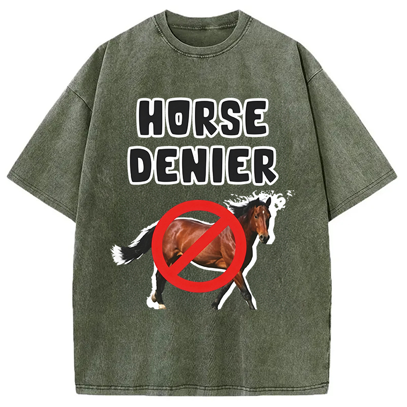 Tokyocanvas Horse Denier Funny Meme Washed T-Shirt