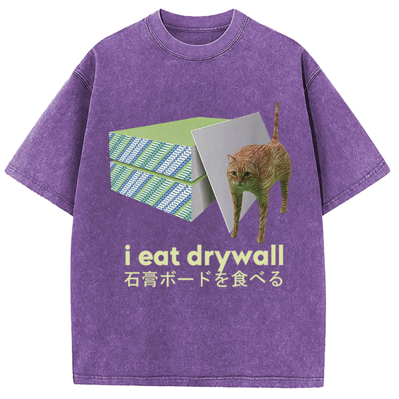 Tokyocanvas Eat Drywall Cat Meme Washed T-Shirt
