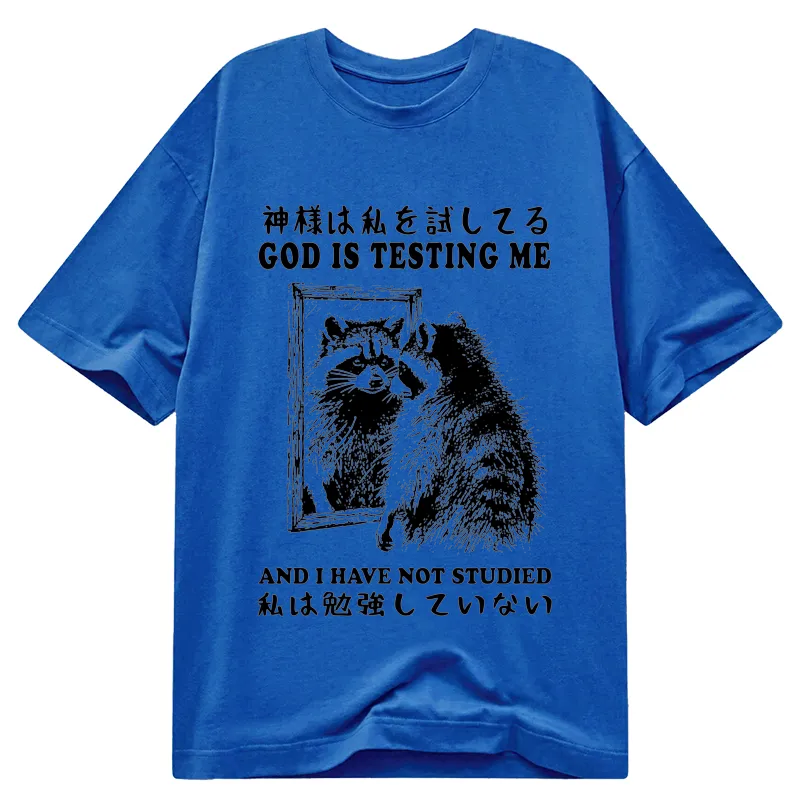 Tokyocanvas Raccoon Not Studied Classic T-Shirt