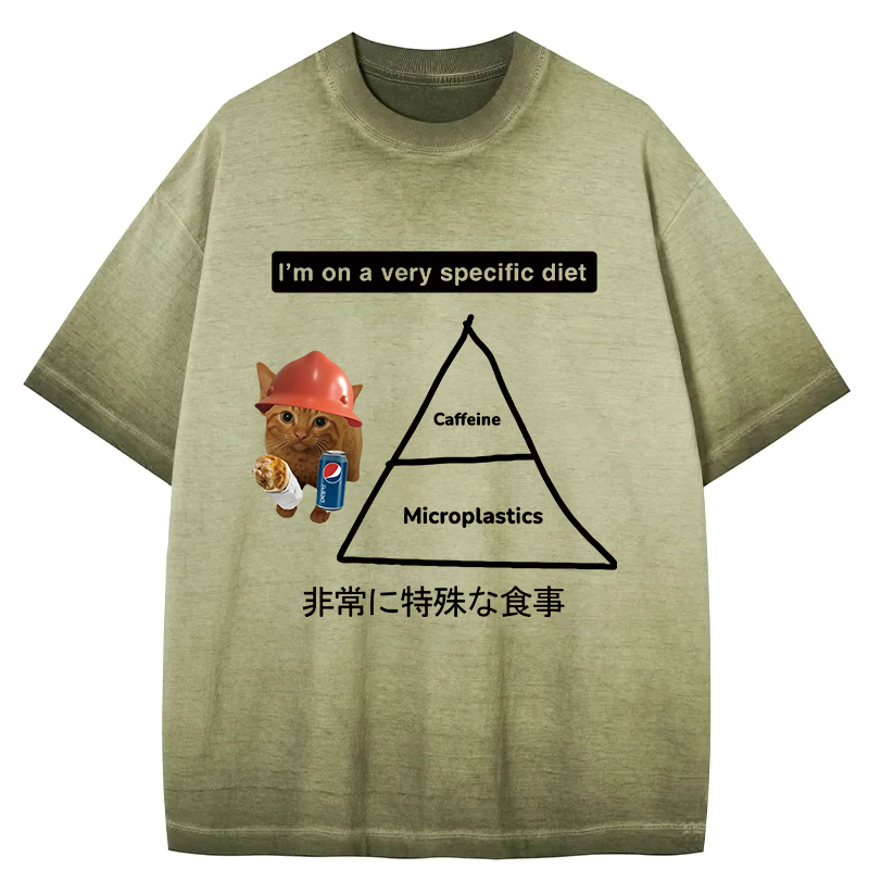 Tokyocanvas A Very Specific Diet Cat Meme Gradient Washed T-Shirt