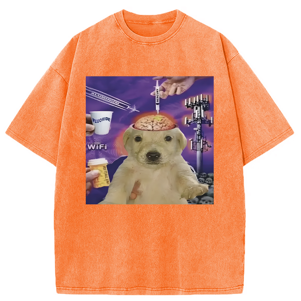 Tokyocanvas Brainwashed Jotchua Meme Washed T-Shirt