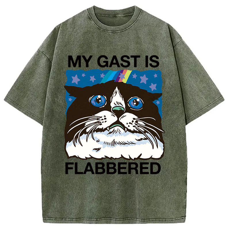 Tokyocanvas My Cat Is Washed T-Shirt