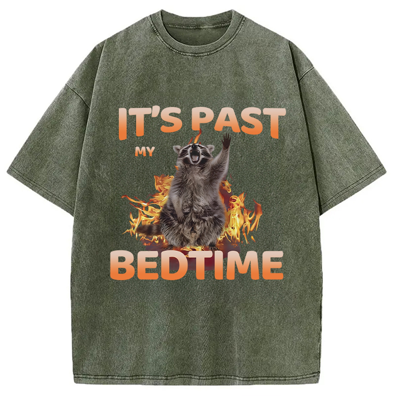 Tokyocanvas It's Past My Bedtime Washed T-Shirt