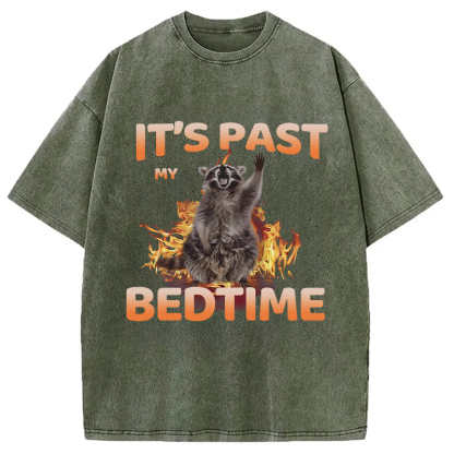 Tokyocanvas It's Past My Bedtime Washed T-Shirt