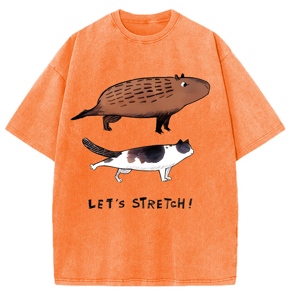 Tokyocanvas Let's Stretch Together Washed T-Shirt