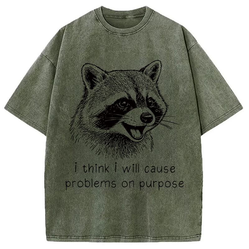 Tokyocanvas Stupid Raccoon Funny Washed T-Shirt