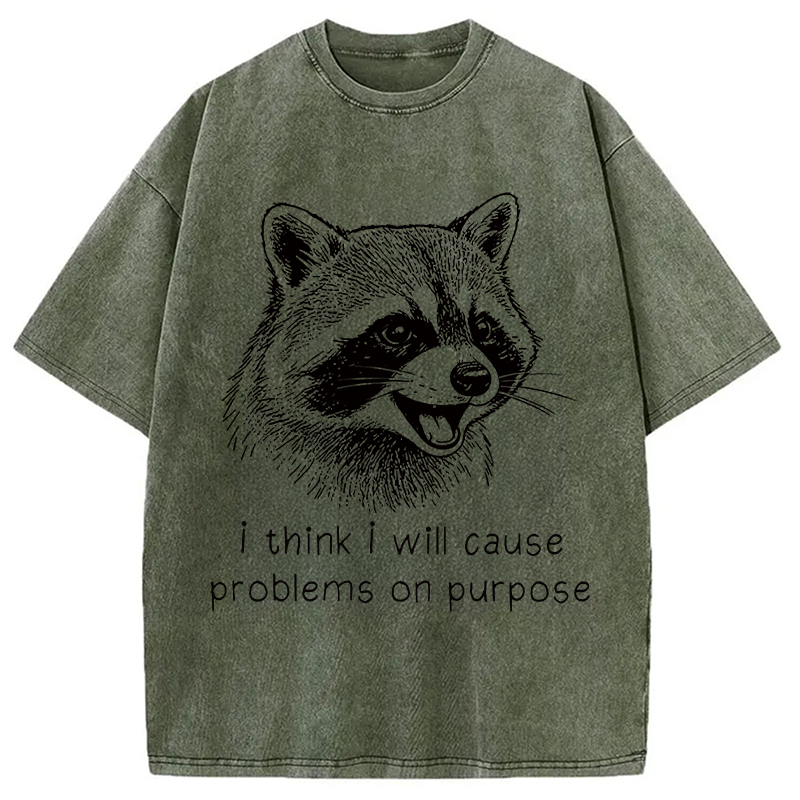 Tokyocanvas Stupid Raccoon Funny Washed T-Shirt