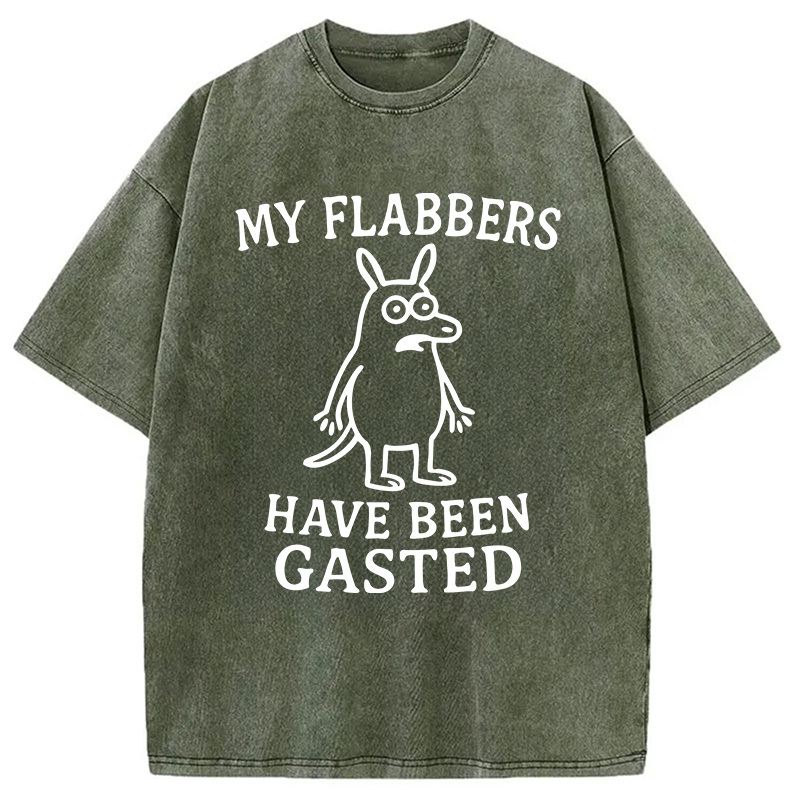 Tokyocanvas My Flabbers Have Been Gasted Funny Meme Washed T-Shirt