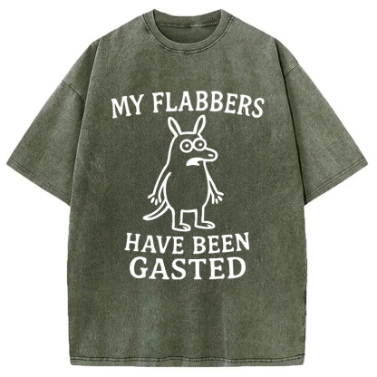 Tokyocanvas My Flabbers Have Been Gasted Funny Meme Washed T-Shirt