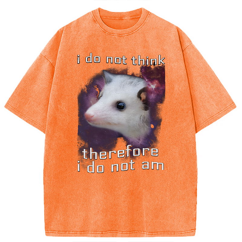 Tokyocanvas Confused Possum Space Washed T-Shirt