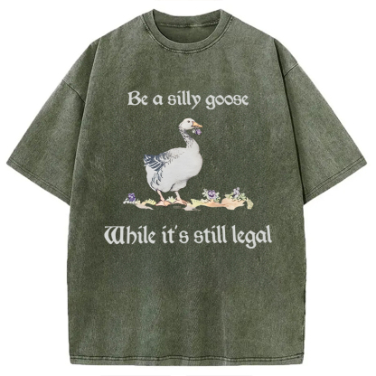 Tokyocanvas Be A Silly Goose Washed T-Shirt