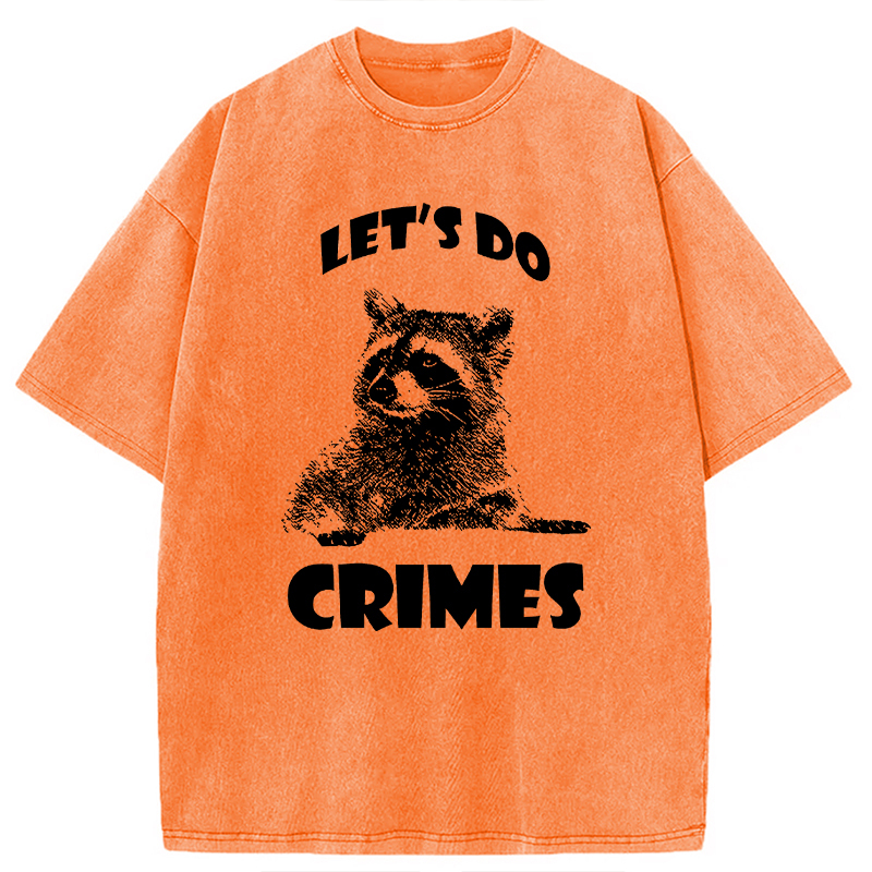 Tokyocanvas Raccoon Let's Do Crimes Washed T-Shirt