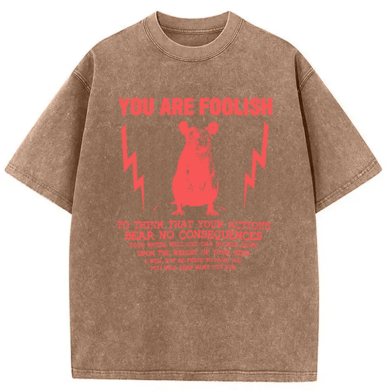 Tokyocanvas You Are Foolish Rat Meme Washed T-Shirt