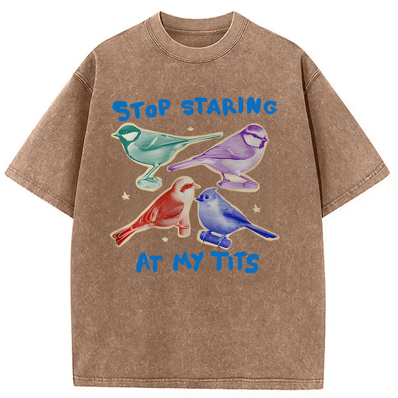 Tokyocanvas Stop Staring At My Tits Washed T-Shirt