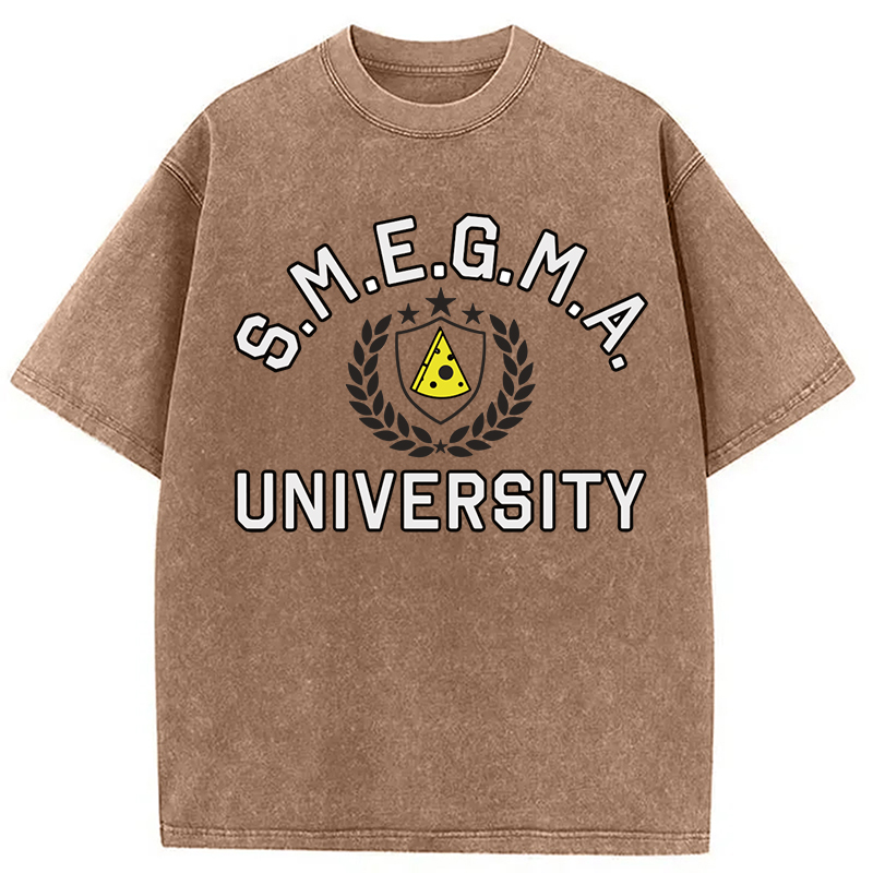 Tokyocanvas Smegma University Funny Washed T-Shirt