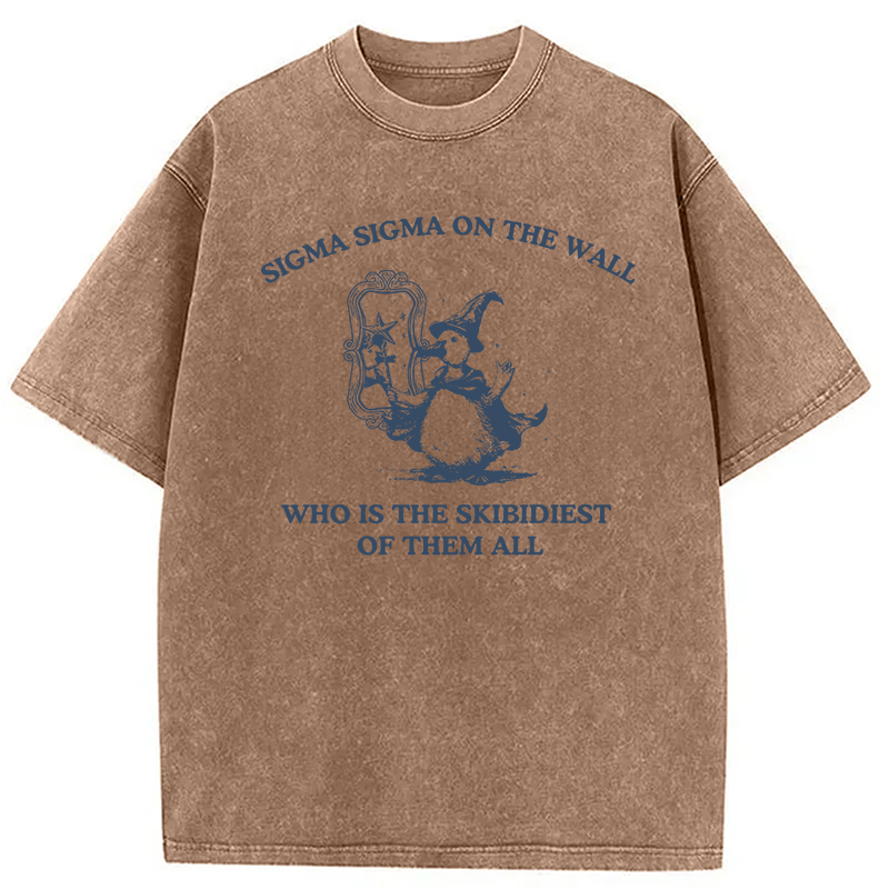 Tokyocanvas Sigma Sigma On The Wall Funny Brainrot Goose Washed T-Shirt