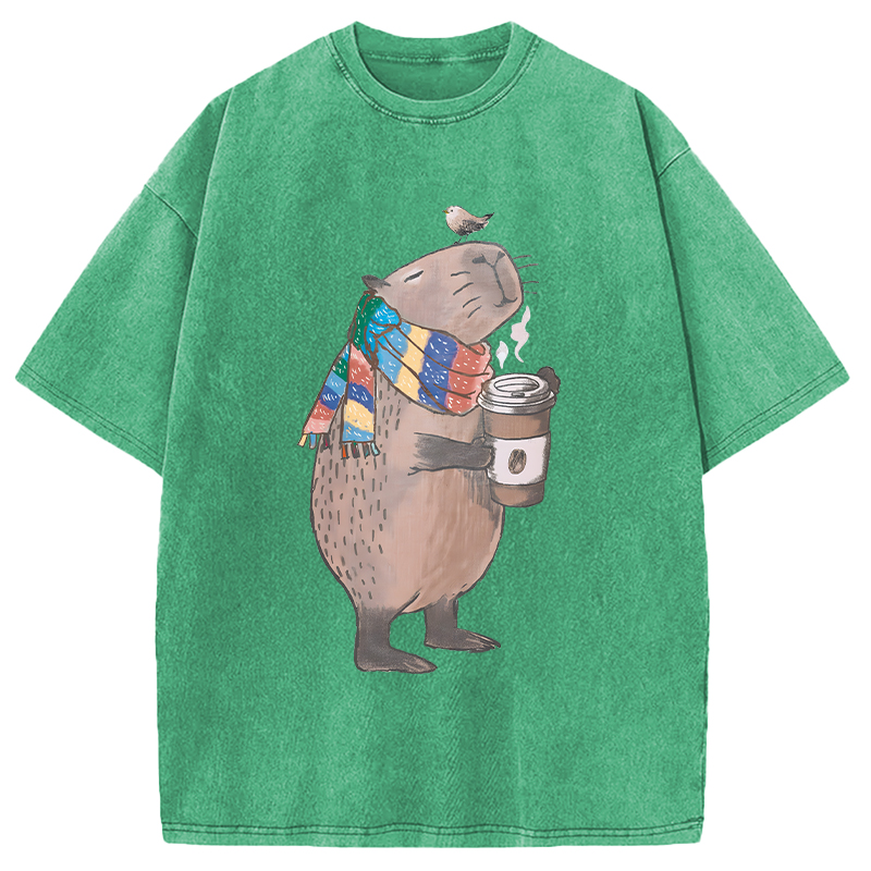 Tokyocanvas Coffeebara Washed T-Shirt