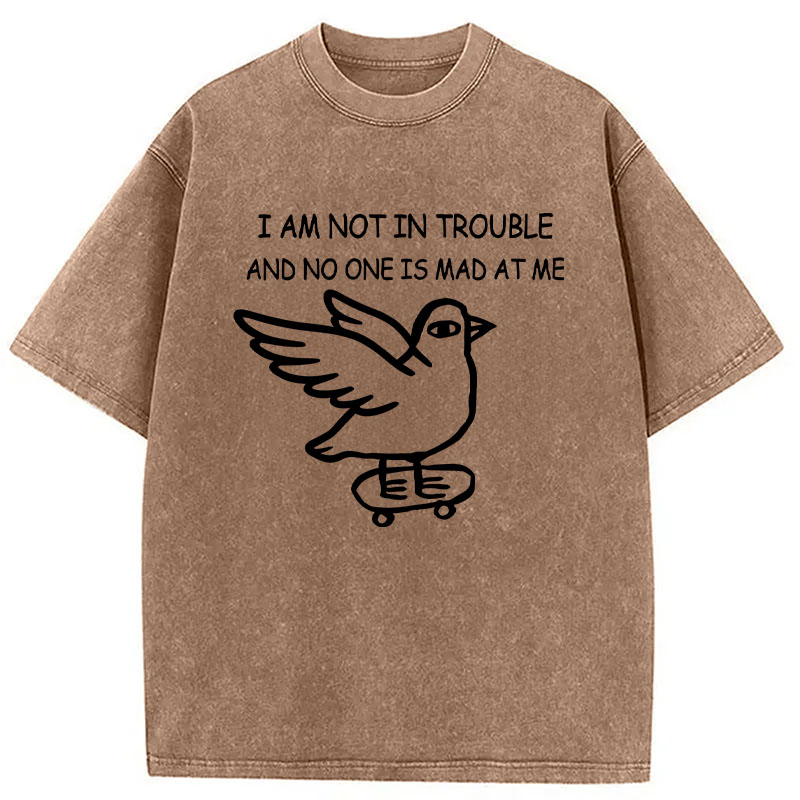 Tokyocanvas Bird Pretends It Did Nothing Wrong Washed T-Shirt