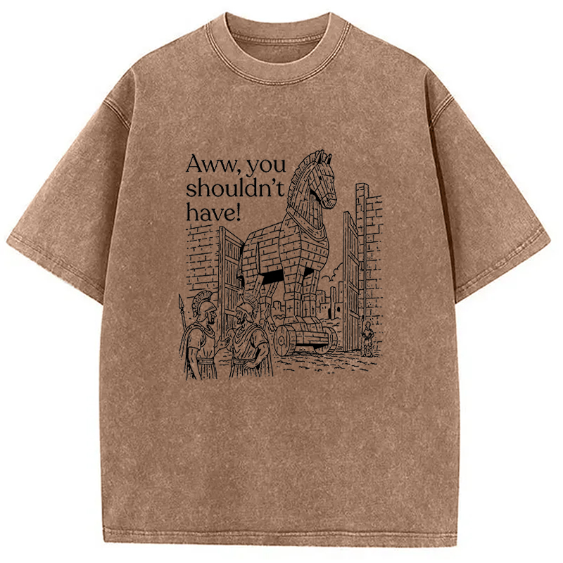 Tokyocanvas Aww, You Shouldn't Have! Washed T-Shirt