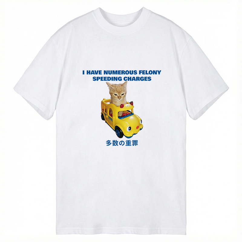 Tokyocanvas I Have Numerous Felonies For Speeding Classic T-Shirt