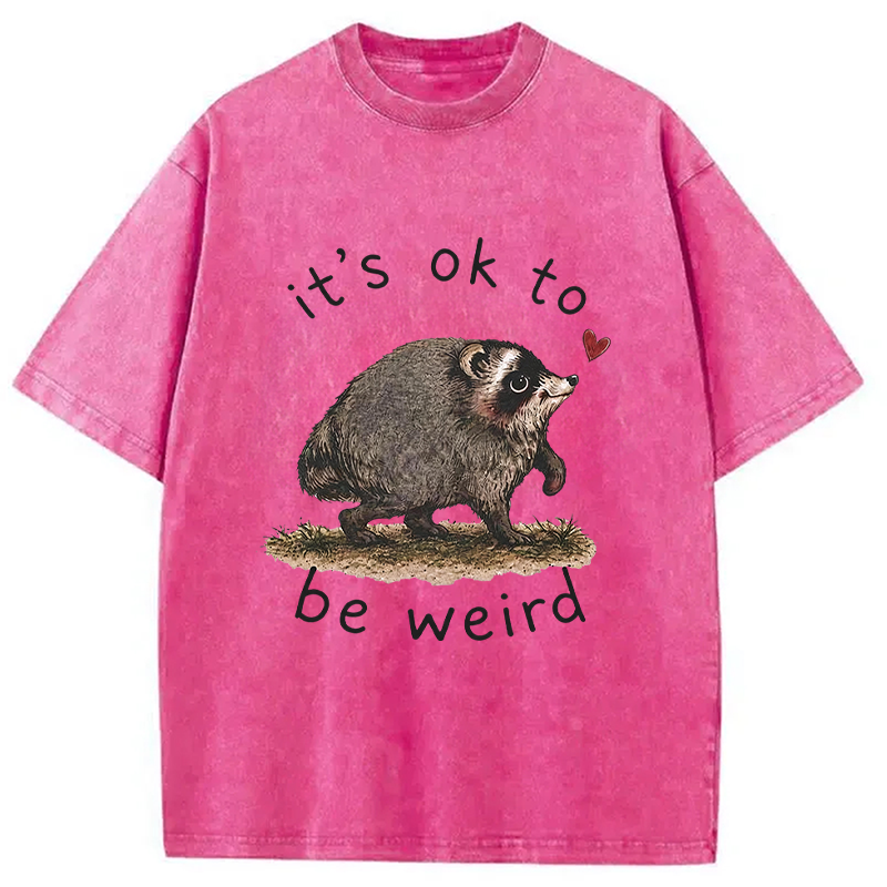 Tokyocanvas It’s OK to Be Weird Washed T-Shirt