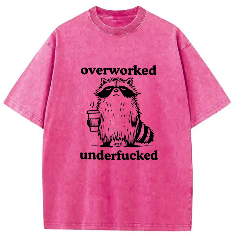Tokyocanvas Overworked and Underfucked Washed T-Shirt
