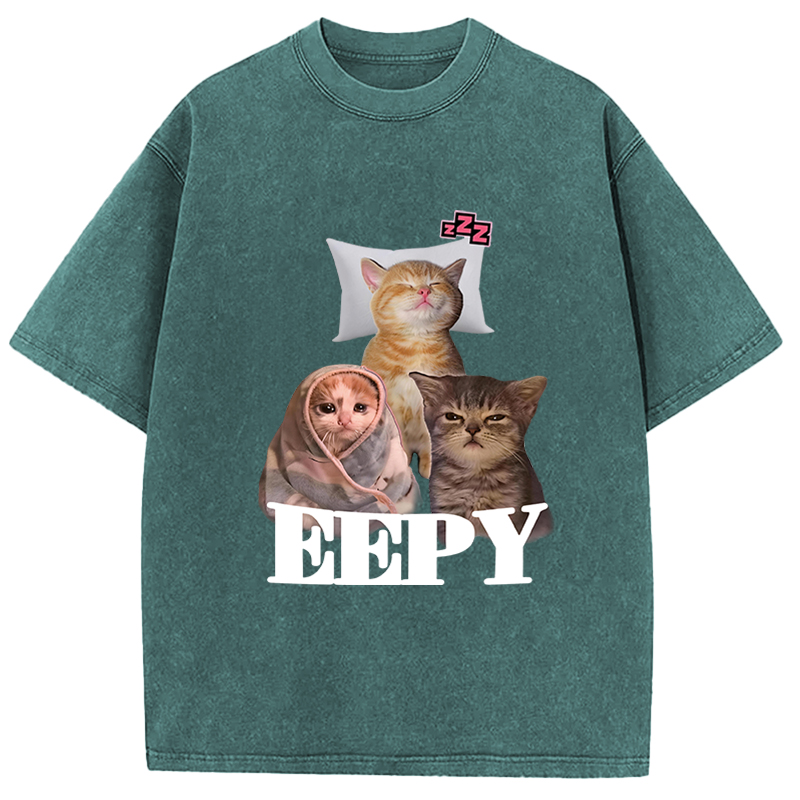 Tokyocanvas Eepy Cat Meme Washed T-Shirt
