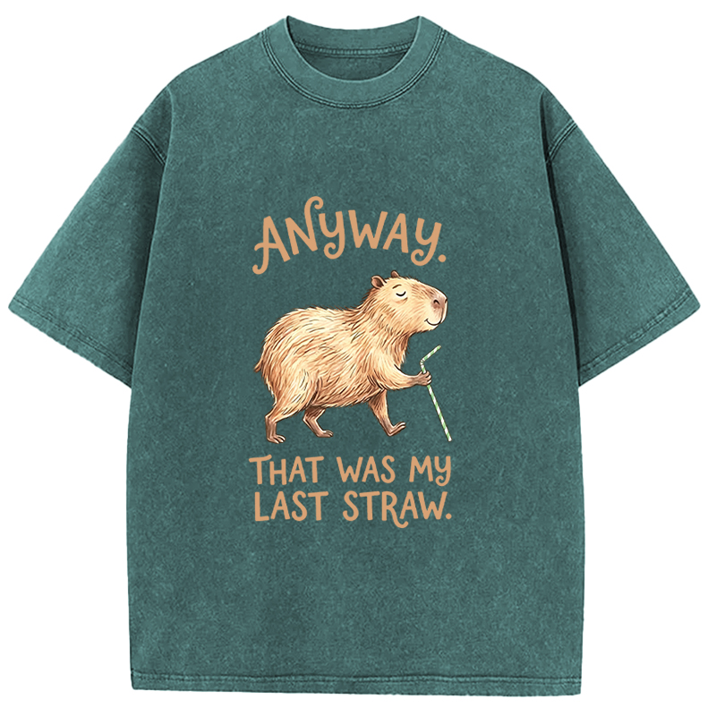 Tokyocanvas Funny Capybara Anyway that was My Last Straw Washed T-Shirt