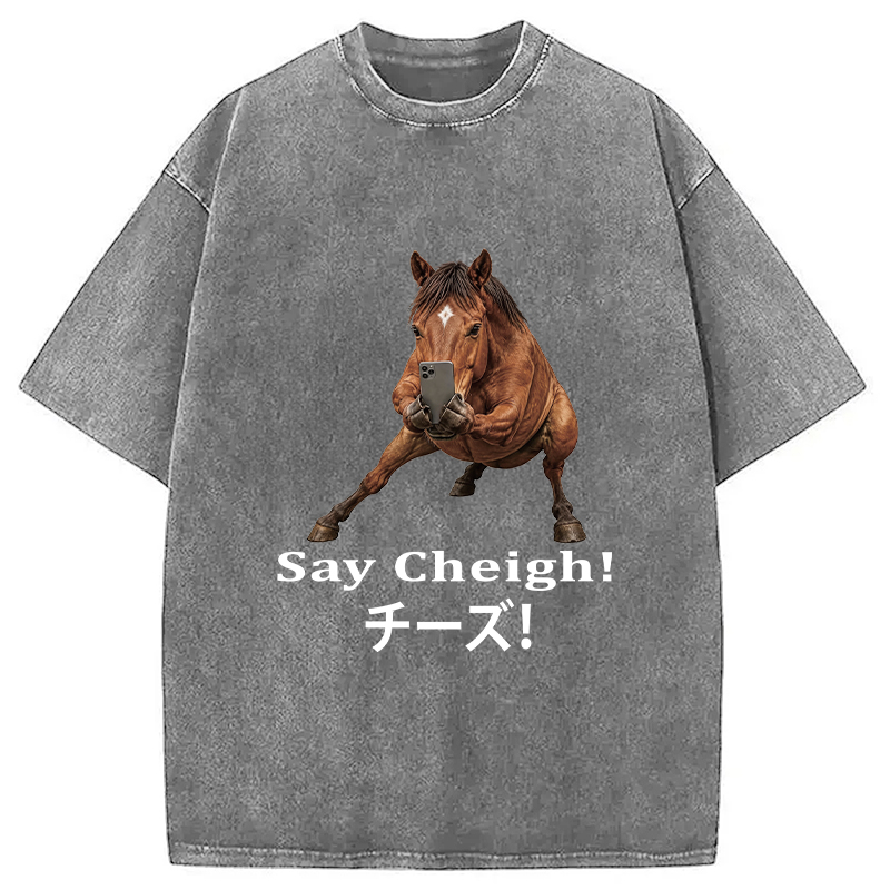 Tokyocanvas Say Cheigh! Horse Meme Washed T-Shirt