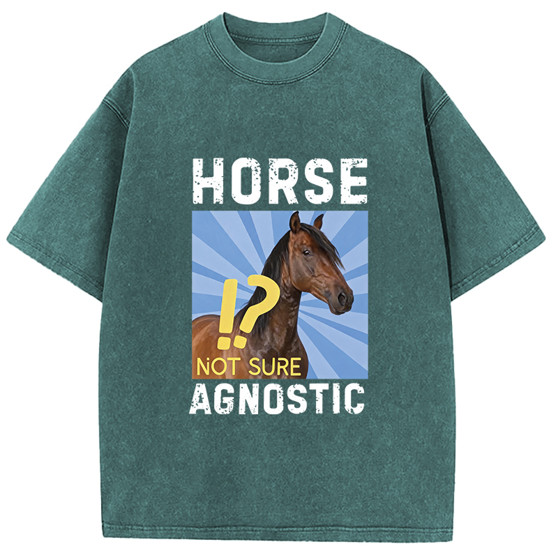 Tokyocanvas Horse Agnostic, Not Sure Essential Washed T-Shirt
