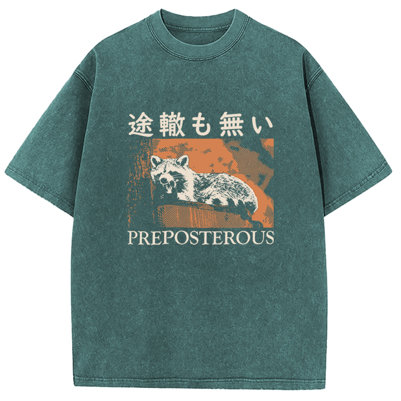 Tokyocanvas Preposterous Raccoon Washed T-Shirt