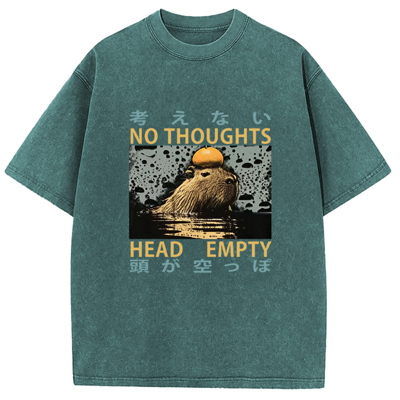 Tokyocanvas No Thoughts Head Empty Washed T-Shirt