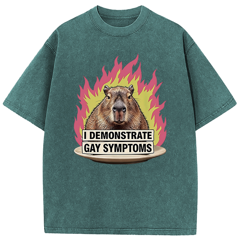 Tokyocanvas I Demonstrate Gay Symptoms Funny Washed T-Shirt