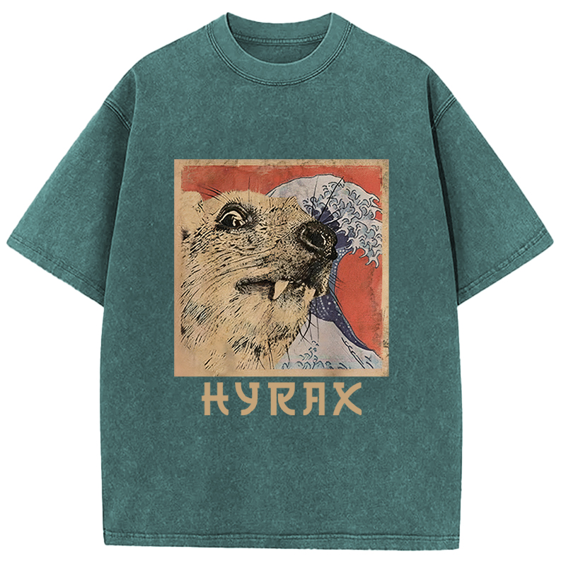 Tokyocanvas Hyrax Japanese Vintage Washed T-Shirt