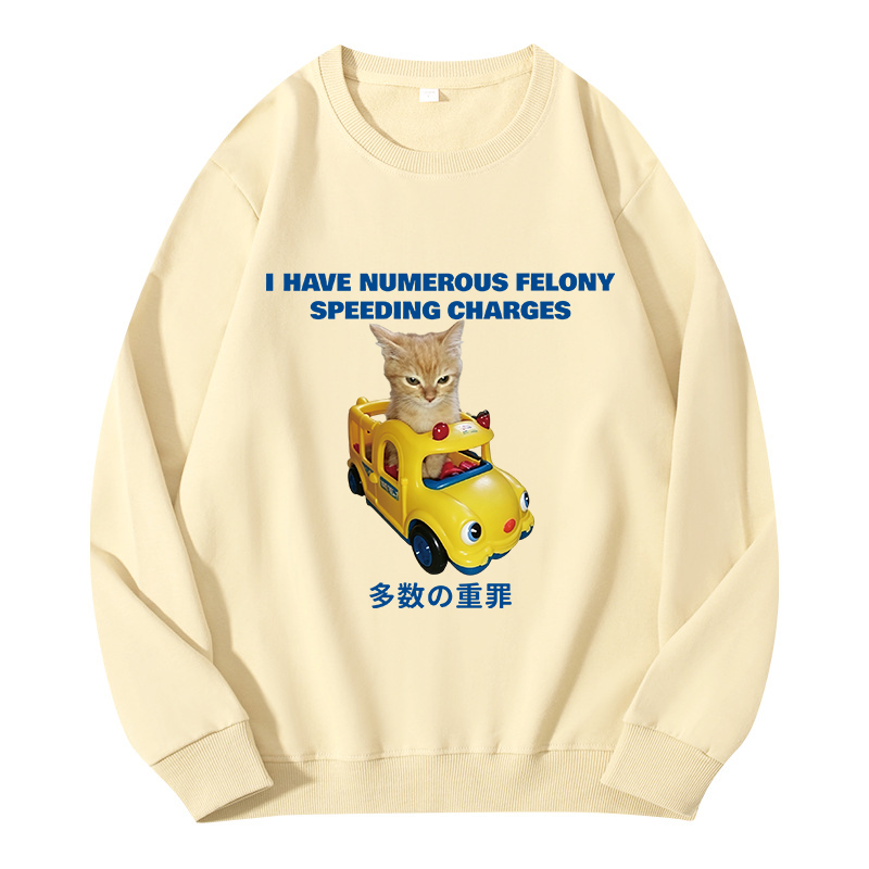Tokyocanvas I Have Numerous Felonies For Speeding Classic Sweatshirt