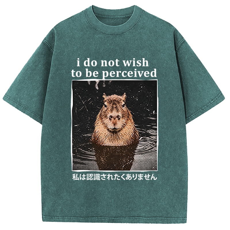 Tokyocanvas I Do Not Wish to Be Perceived Capybara Washed T-Shirt