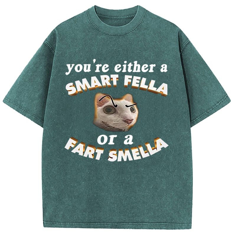Tokyocanvas You're Either A Smart Fella Or A Fart Smella Funny Cat Washed T-Shirt