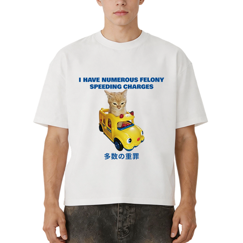 Tokyocanvas I Have Numerous Felonies For Speeding Boxy T-shirt